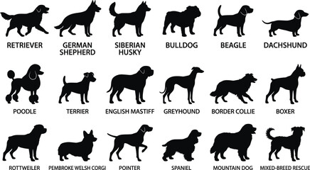 Set of black dog breed silhouettes featuring popular canine varieties with names for pet-themed design projects image_474666.png. © MdSaiful