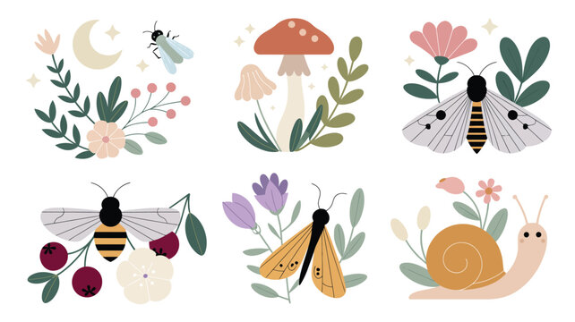 Collection of minimalist nature illustrations featuring insects, fungi, moon, and various botanical elements