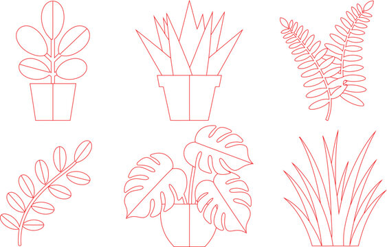 Collection of six different house plants and leafy greens in a simple red outline style