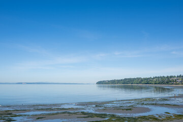 Low Tide Beach at Crescent Road, White Rock, BC, Canada © shengwang