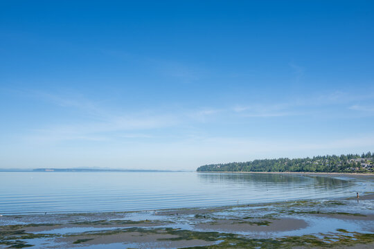 Low Tide Beach at Crescent Road, White Rock, BC, Canada