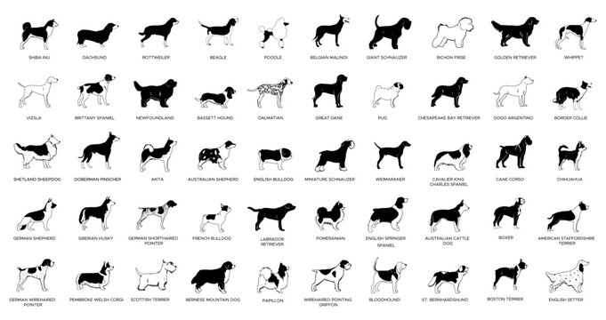 Dog Breeds silhouette set vector illustration isolated on white background
