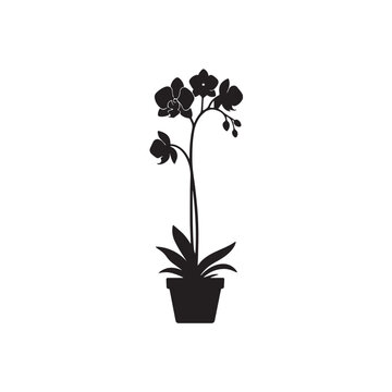vector orchid flower silhouette