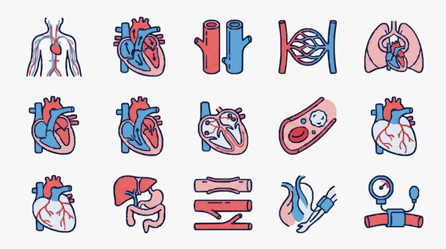 Human circulatory system anatomy and medical icons.