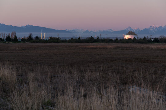 Canada, BC, Delta.  Tall grasses growing in the Fraser River Estuary.  Boundary Bay Regional Park.  Fuel storage facility and industrial smokestacks visible in the distance.
