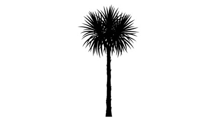 Palm tree silhouette stands isolated against a pure white background to represent tropical nature. © ocil
