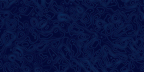 Topographic map pattern background vector. Abstract mountain terrain map background with abstract shape line texture. Design illustration for wall art, fabric, packaging, web, banner, wallpaper. © ANAK