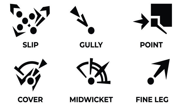 Cricket fielding positions diagram showing slip gully point cover midwicket and fine leg.