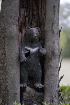 곰