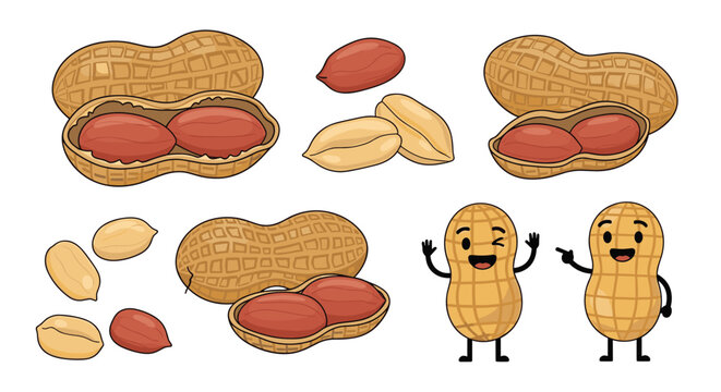 Collection of whole peanuts in shells, cracked nuts, and cute animated peanut characters with smiling faces on white.