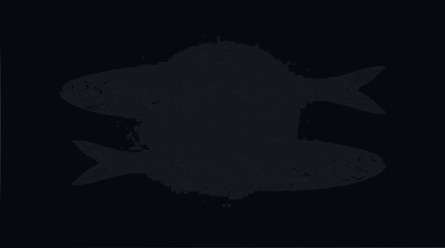 Abstract dark grey fish illustration with symmetrical reflection on black background