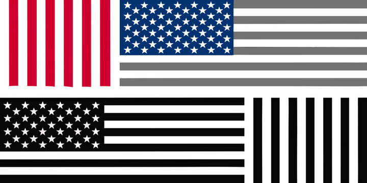 Variations of the american flag in a flat vector style showcasing different color schemes
