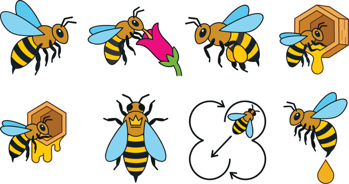 Cute Cartoon Honey Bee Character Icon Set with Queen Bee Honeycomb Flower Waggle Dance and Honey Droplet Vector Illustration Sticker Collection