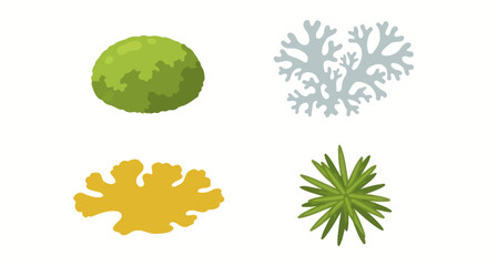 Moss and lichen species flat vector illustration icons. © bahriri