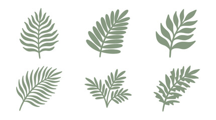 Sage green fern and tropical leaf silhouettes © bahriri