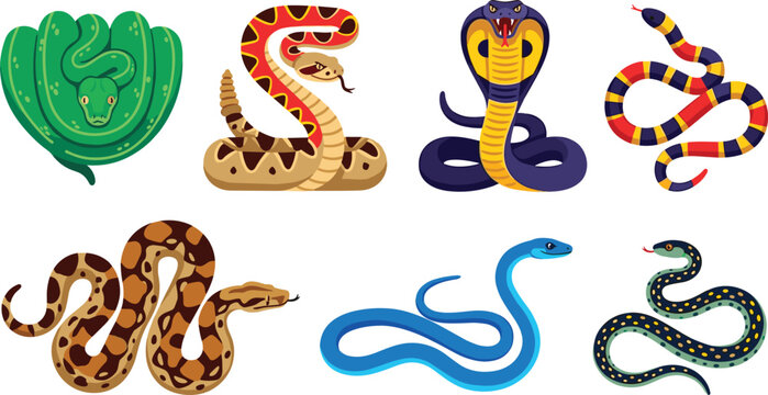 Various Snake Species Vector Icon Set with Cobra Rattlesnake Python Viper Anaconda and Coral Snake Vectors for Wildlife and Reptile Designs