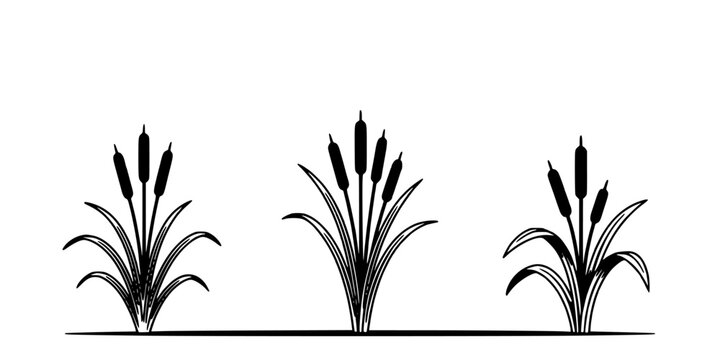 Plant Drawing of Ornamental Flowering Leaves with Bold Black Linework on White Background, Symmetrical Decorative Flourish Elements