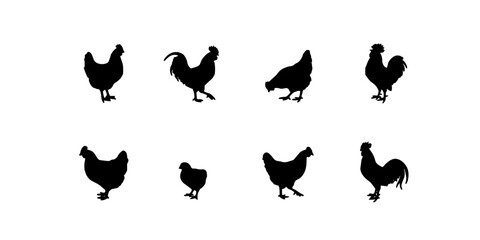 Fototapeta premium Chicken Silhouettes Set of Farm Poultry Icons in Black on a White Background Featuring Hen, Rooster, Silhouette with Icon and Symbol Elements