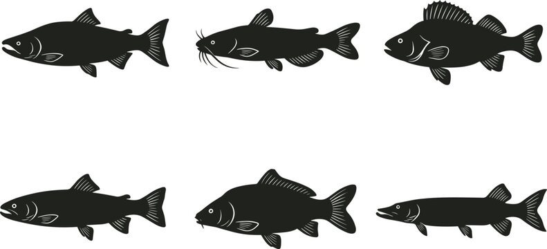 Freshwater Fish Silhouette Vector Collection Featuring Salmon Catfish Bass Carp And Pike For Fishing Graphic Design Projects