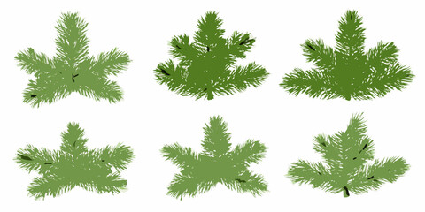Green Pine And Fir Tree Branch Silhouettes On White Background © Asit