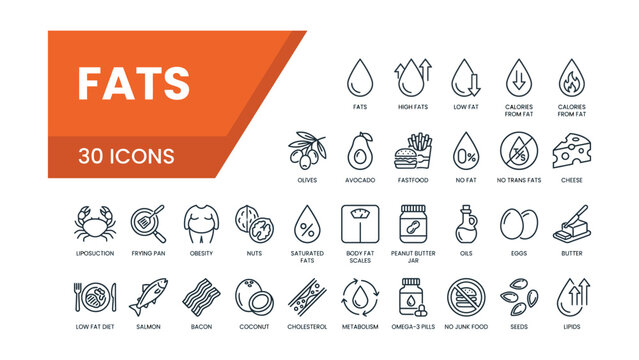 Fats infographic with thirty line icons and descriptions