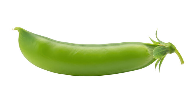 Fresh green pea pod isolated on transparent background
