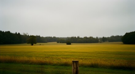 Fototapeta premium Serene rural landscape with a vast green field and wooden fence post
