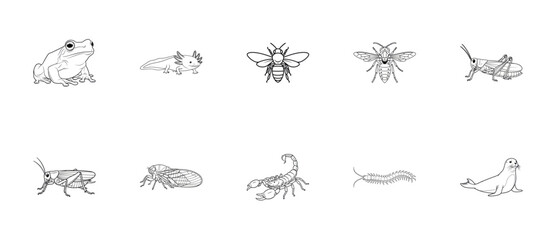 Fototapeta premium Animal and Insect Outline Icon Set