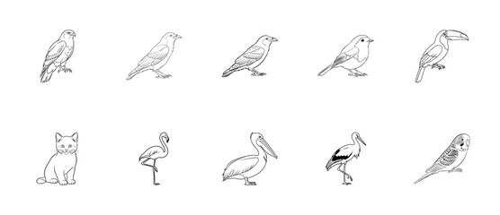 Fototapeta premium Minimalist Bird and Kitten Icon Set