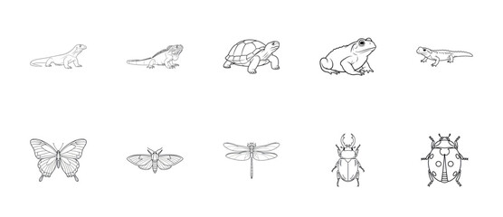 Fototapeta premium Reptiles and Insects Line Art Icon Set