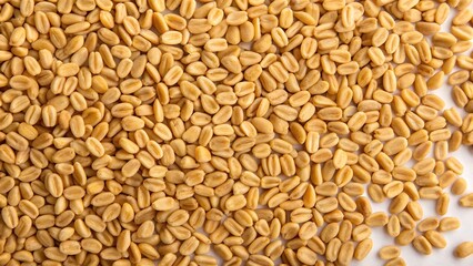 Fototapeta premium Top view of a natural background composed of many dried fenugreek seeds arranged in a dense organic pattern