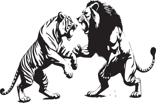 Lion vs Tiger Fight Vector Illustration | Wild Animal Battle SVG | Predator Clash Design