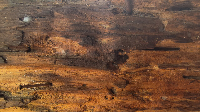 Close-up texture of weathered and damaged wood, showing grain, cracks, and signs of decay, creating a rustic and aged aesthetic