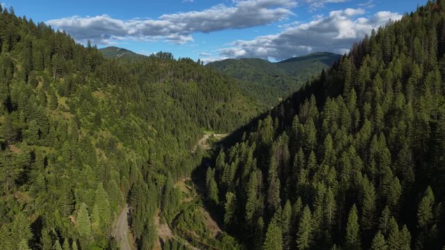 Aerial of dense forest and valley in Shoshone County Idaho along Pine Creek in spring featuring a winding road under cloudy skies