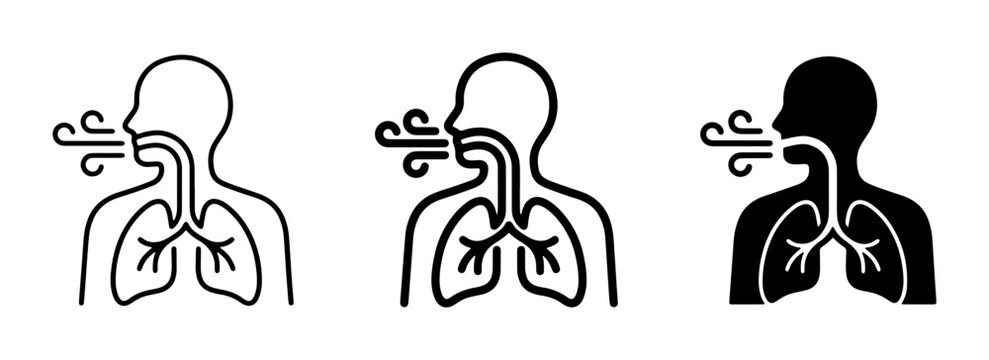 Human Respiratory System Icons, Breathing Airflow Vector Graphics, Lung Anatomy Illustrations