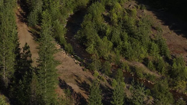 Close up Aerial of forest and hillside in Shoshone County Idaho in spring showing dense trees and open dirt terrain