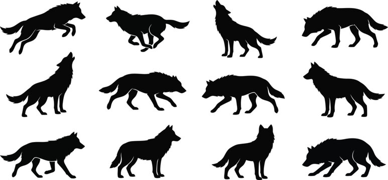 Wolf Silhouettes Set with Running Howling and Standing Poses