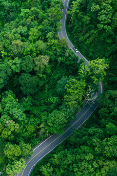 Commercial sustainability background supporting themes of carbon accounting, emissions reduction, and climate-related financial strategies, Tropical forest road