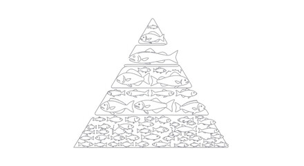 Fototapeta premium Marine Food Chain Pyramid Vector Illustration