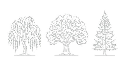 Tree Species Outline Icon Set © Kosong