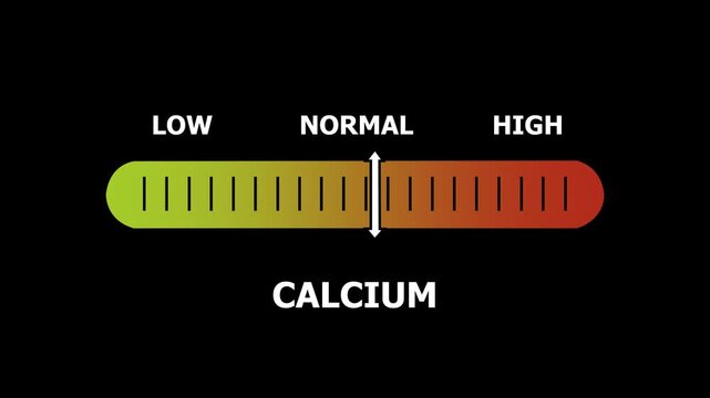 calcium level indicator scale. Low normal & high meter infographic animation. Showing high calcium level color gauge indicator. on a black background 4k animation video