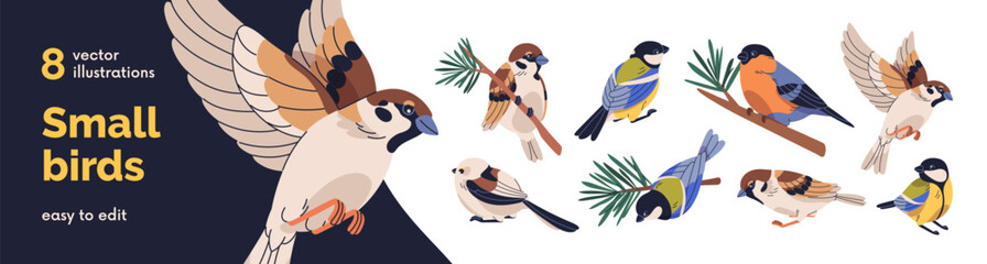Small birds set. Sparrow, great tit, bullfinch perched on branches, flying. Europe fauna. Little feathered winged avian species. Flat graphic vector illustrations isolated on white background © Good Studio