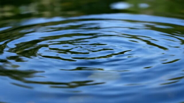 A single water drop creating concentric ripples across the still surface of a pond