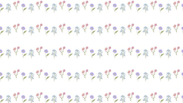 Seamless Pastel Wildflower Pattern Loop Animation on White Background