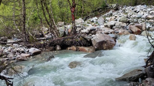 Fast mountain stream with cold glacial water flowing over rocks in Svaneti Georgia, nature landscape, outdoor adventure, freshness and purity