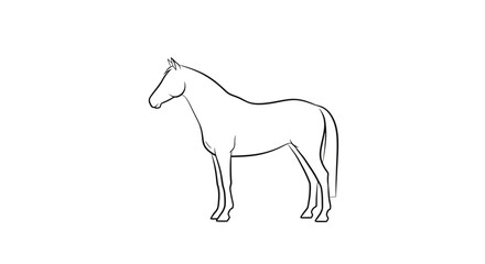 Outline drawing of a standing horse on a white background