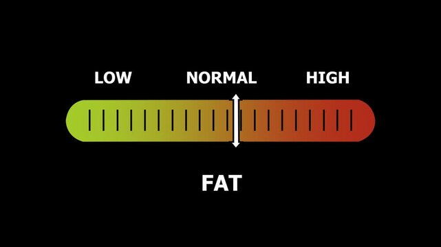 fat level indicator scale. Low normal & high meter infographic animation. Showing high fat level color gauge indicator. on a black background 4k animation video
