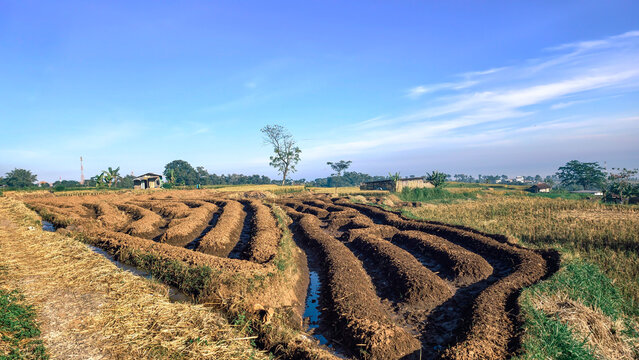 Beautiful rural agricultural landscape with plowed soil furrows under blue sky