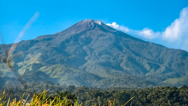 A beautiful view of the peak of an active sulfur volcano under a clear blue sky with a lush green forest landscape