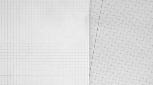 White and Grid Paper Pages Side by Side graph paper